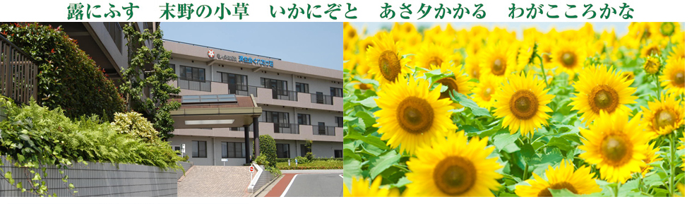 夏のくれたけ荘