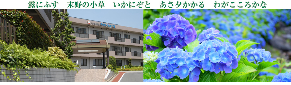 梅雨のくれたけ荘